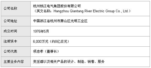 杭州钱江电气集团的公司简介